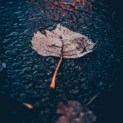 Live in Allah's Time : Speaking Exercise Podcast