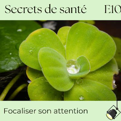 Focaliser son attention : apaiser le mental & revenir au présent - S7E10