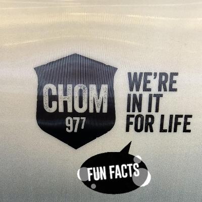 Jay & Sharon Serving Up Groundhog Day Delicacies and Hippo Testies!