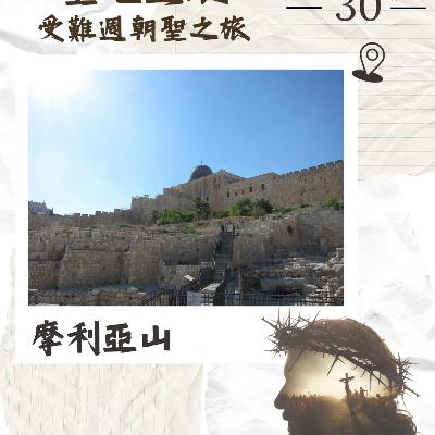 (普、简) 天天「灵」 听👂🏻🕊 2026年3月30日(一) ✨《圣地游踪》受难周朝圣之旅✨ ☘️景点名称：摩利亚山（圣殿山）