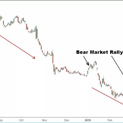 Bear Market Rally | English Lesson