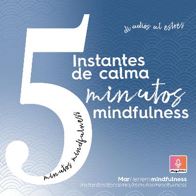 Cinco minutos de mindfulness para observar tus pensamientos sin apegarte y reconocer la impermanencia de todo. Libera tensiones y estrés acumulado en solo unos minutos
