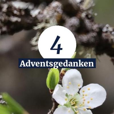 Tag 4 - Leben