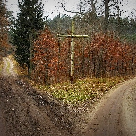 Nasza królewska godność