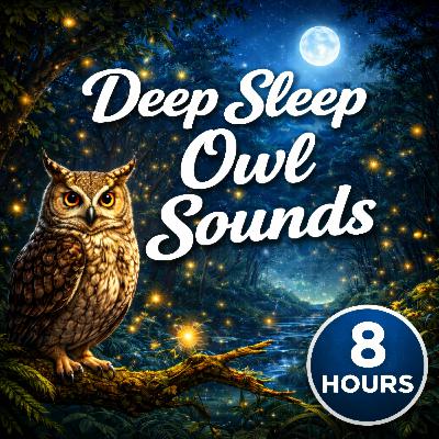 Slow Owl Calls Beneath the Canopy Slow Owl Calls Beneath the Canopy