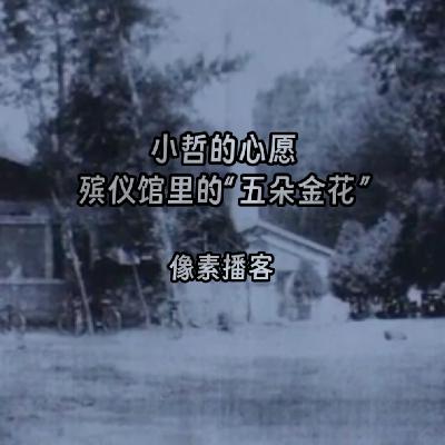 56.小哲的心愿:殡仪馆里的"五朵金花" 56.小哲的心愿:殡仪馆里的"五朵金花"