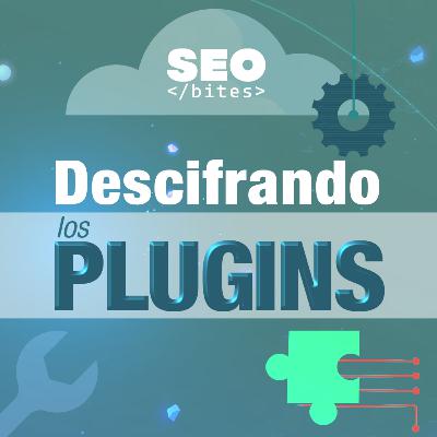 ¿Qué es un plugin y para qué se usa?