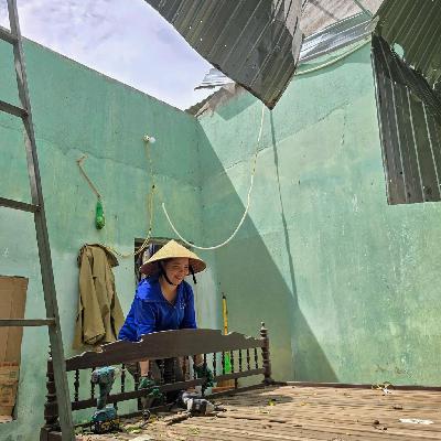 Gượng dậy sau bão