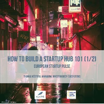 How To Build A Startup Hub 101 | European Startup Pulse