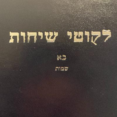 Yosef and Levi, Yaakov’s Aron and Shlichus