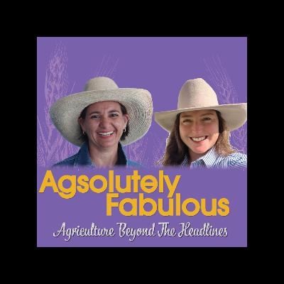 #54 When Katja is away, Gillian will play! Who is the suprise guest!