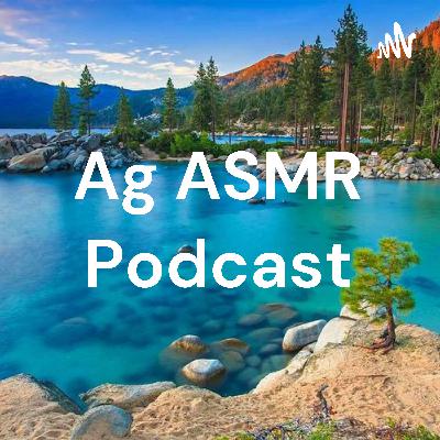 [ASMR] Tapping To Help You Sleep (No Talking)-