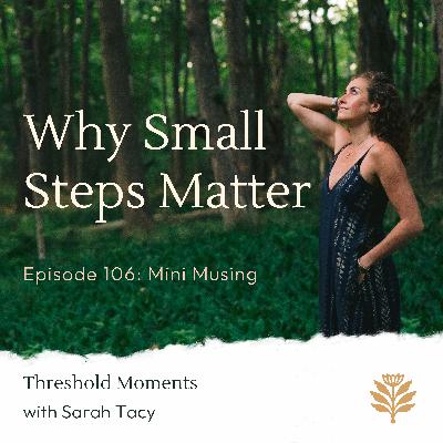106 - Why Small Steps Matter