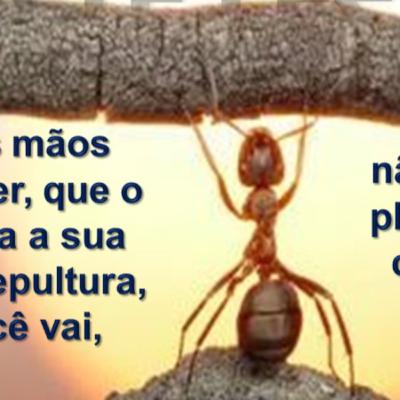 DEUS TE FEZ CAPAZ