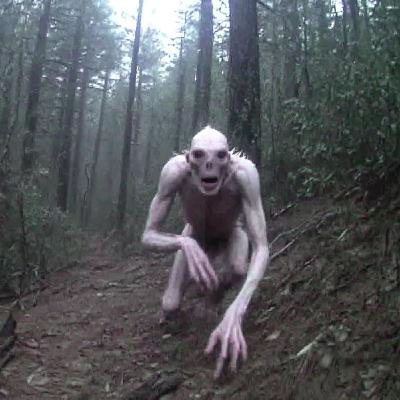 U.S Navy SEAL WARNS US . These THINGS Are KILLING in the Appalachian Mountains