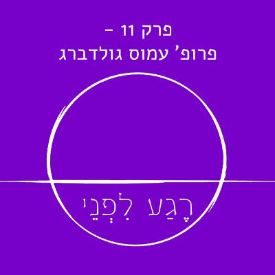 פרק 11 - פרופ' עמוס גולדברג