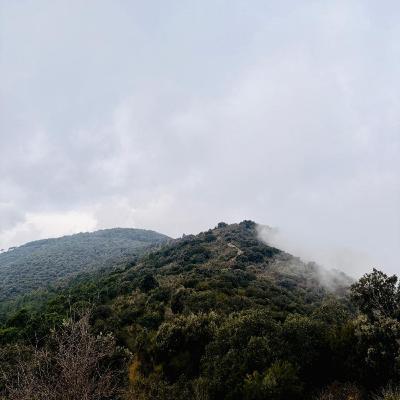 Capítol 12 - Puig d'en Cama Capítol 12 - Puig d'en Cama