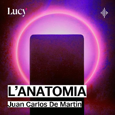 L'anatomia L'anatomia