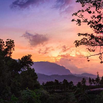 Night in the jungle of Philippines
