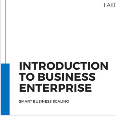 THE BUSINESS ENTREPRENEUR THE BUSINESS ENTREPRENEUR