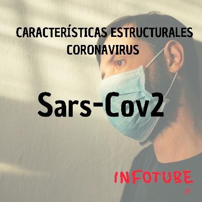 Píldora informativa: Características estructurales del Sars-Cov2