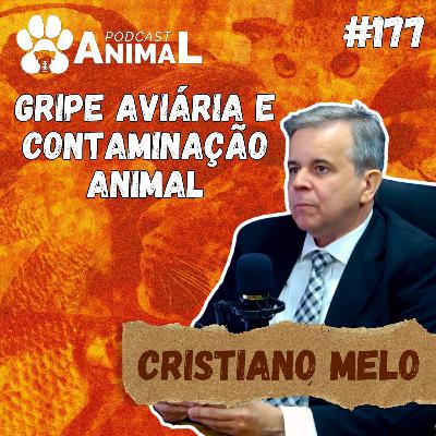 Podcast Animal 177 - Gripe Aviária e a contaminação animal com o Professor Cristiano Barros de Melo
