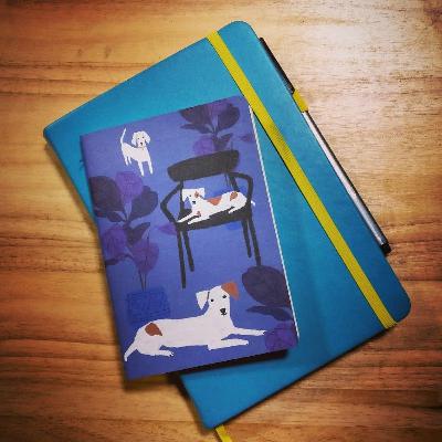 S4E10 - Bullet Journal & Feelings Journal