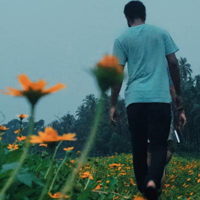 Relaxing Nature Sounds Relaxing Nature Sounds