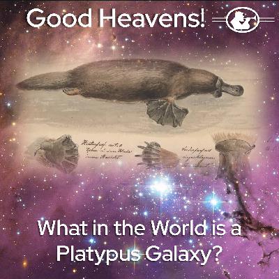 What in the World is a Platypus Galaxy?!