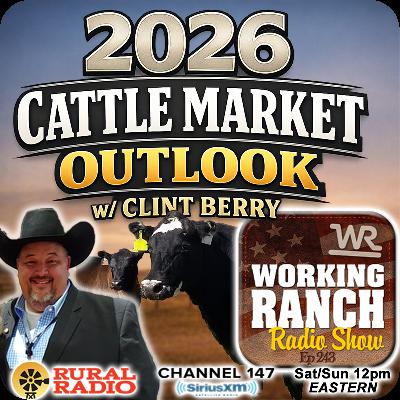 Ep 243: 2026 Cattle Market Outlook w/ Clint Berry