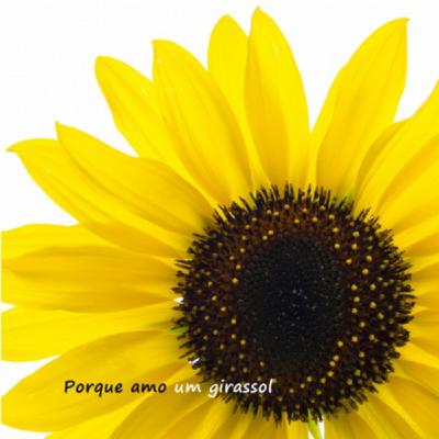 15. Para sempre de papel presente... 15. Para sempre de papel presente...