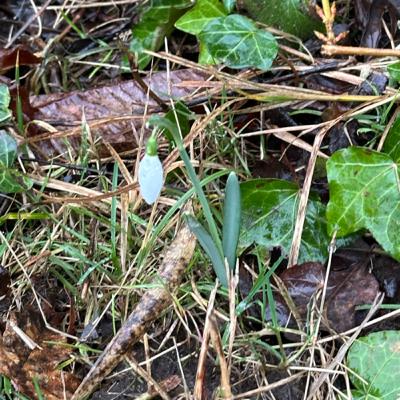 34. 自然界と身体の季節、そして気候変動への取り組みの動向