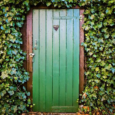 ALDOUS HUXLEY ACTS AS A GUINEA PIG ALDOUS HUXLEY ACTS AS A GUINEA PIG