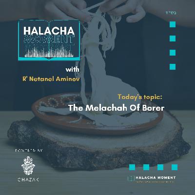 The Melachah Of Borer - Halacha Moment