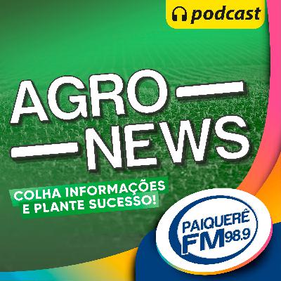 #4- Como está a rotina no campo em meio pandemia