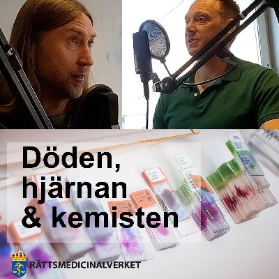 §7-undersökning ”Den lilla sinnesundersökningen”