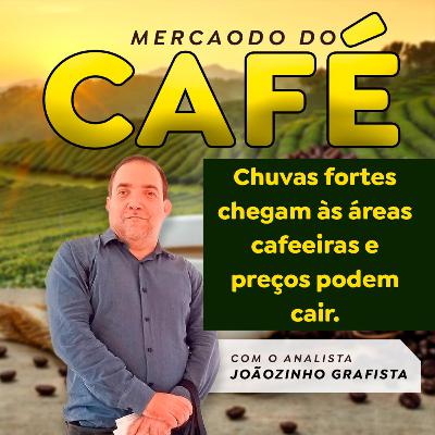 Chuvas fortes chegam às áreas cafeeiras e preços podem cair.
