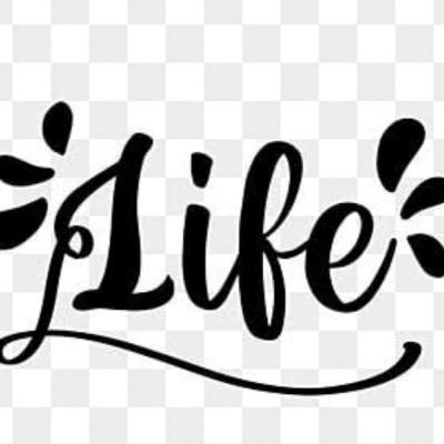 NO ONE SAVE YOUR LIFE