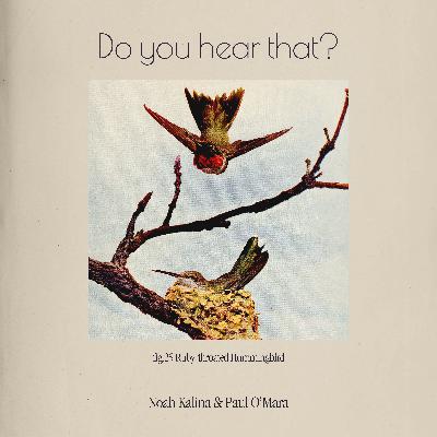 Ruby-throated Hummingbird