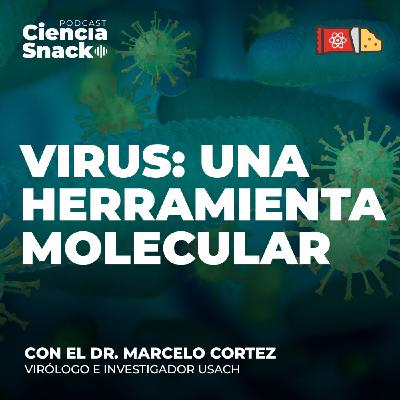 Ciencia Snack | Virus: una herramienta molecular