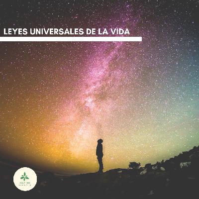 #13 - Como vivir a través de las leyes universales de la vida
