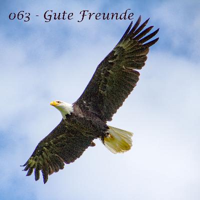 063 - Koro kehrt zurück in die Alten Wälder
