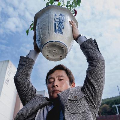 Kinovärgiga mandariin #358