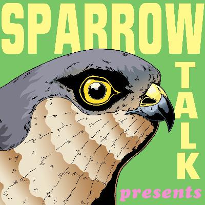 20. Sparrow-Talk presents: Paul McGann’s Doctor Who