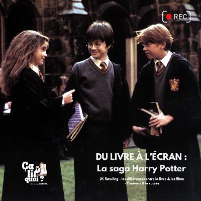 #45 Du livre à l'écran : la saga Harry Potter