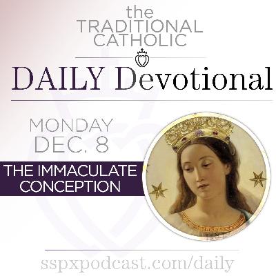 Dec 8 – The Immaculate Conception