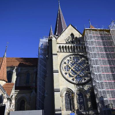 Un assistant numérique, varicelle et zona, la méthode "peau à peau" et les connaissances