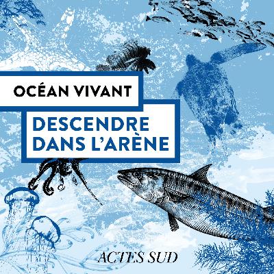 Descendre dans l'arène - Océan Vivant - Épisode 4/6