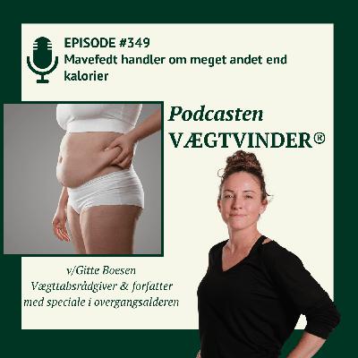 Mavefedt handler om meget andet end kalorier
