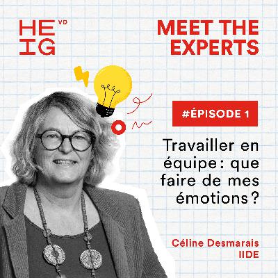 Travailler en équipe : que faire de mes émotions ? Travailler en équipe : que faire de mes émotions ?